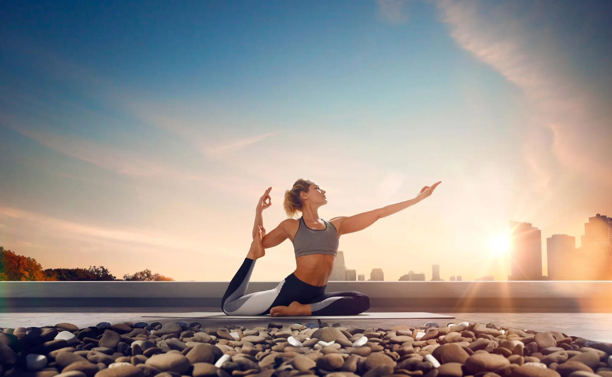 Health & Wellness